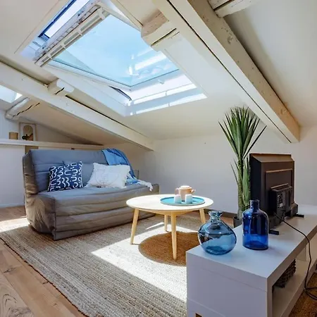 Le Nid Azure / Hypercentre * טולוז